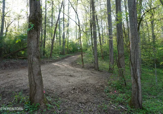 Photo 4 of Land for sale at Lots 1-2 Golf Crse Rd, Newport, TN 37821 | MLS# 1337091 | Listing updated on 2026-05-08