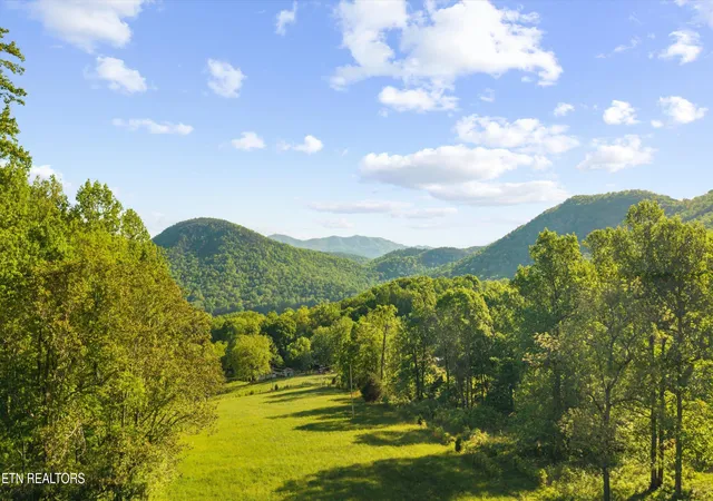 1st image of 172 Pam Ln, Townsend, TN 37882 | MLS# 1338493
