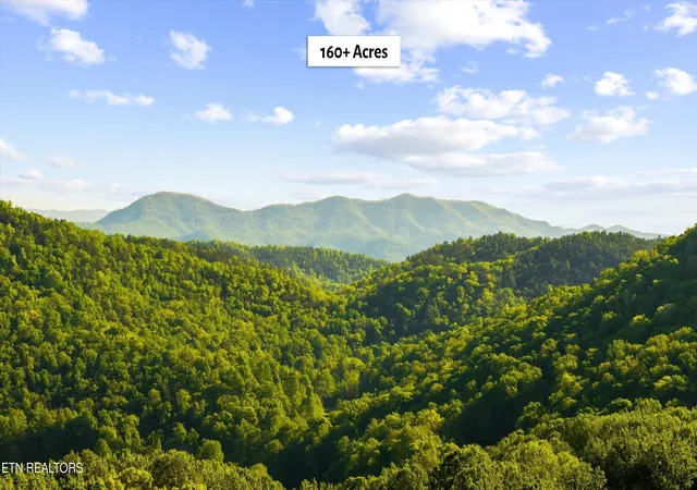 33rd image of 172 Pam Ln, Townsend, TN 37882 | MLS# 1338493