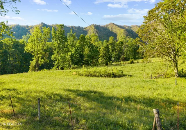 3rd image of 172 Pam Ln, Townsend, TN 37882 | MLS# 1338493