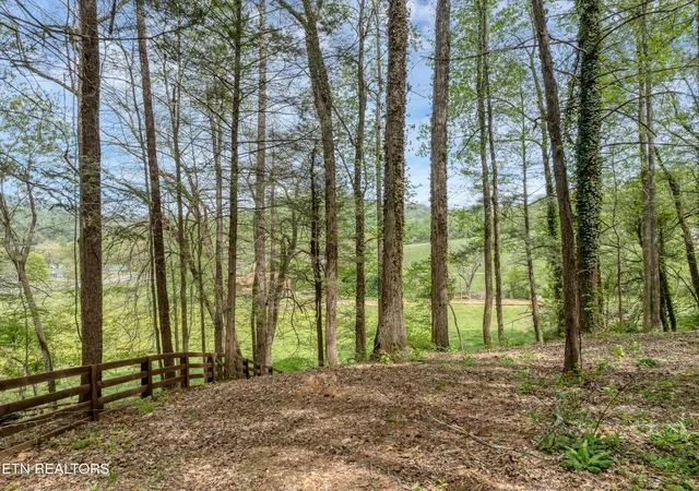 Photo 3 of Land for sale at 151 Bethel Church Rd, Townsend, TN 37882 | MLS# 1337268 | Listing updated on 2026-07-27