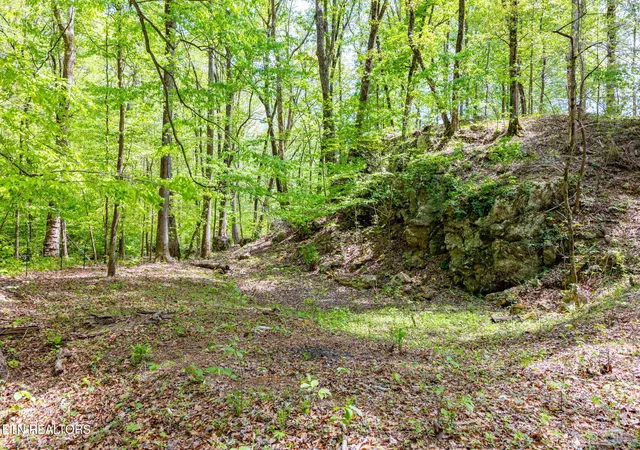 Photo 1 of Land for sale at 8 Ac +/ Tollgate Rd, Rockwood, TN 37854 | MLS# 1337286 | Listing updated on 2026-08-01