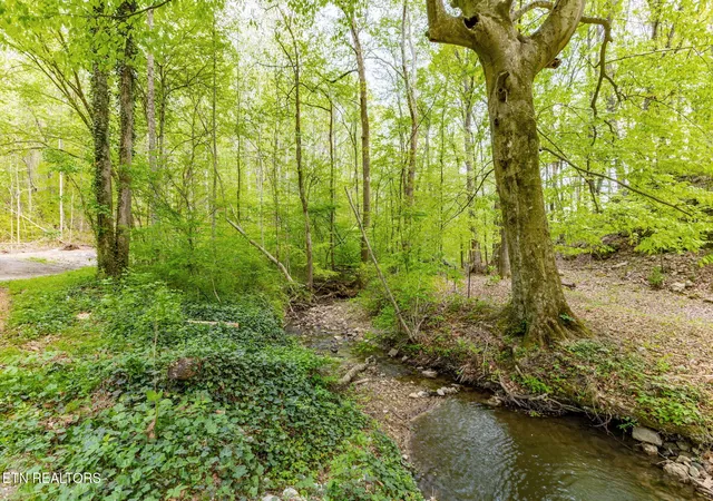 Photo 2 of Land for sale at 8 Ac +/ Tollgate Rd, Rockwood, TN 37854 | MLS# 1337286 | Listing updated on 2026-08-01