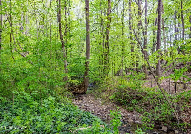 Photo 3 of Land for sale at 8 Ac +/ Tollgate Rd, Rockwood, TN 37854 | MLS# 1337286 | Listing updated on 2026-08-01
