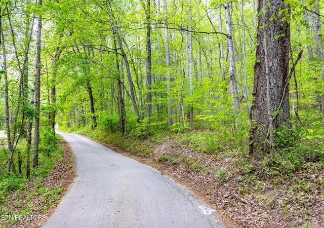 Photo 3 of Land for sale at 8 Ac +/ Tollgate Rd, Rockwood, TN 37854 | MLS# 1337286 | Listing updated on 2026-08-01