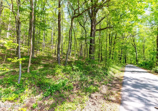 Photo 4 of Land for sale at 8 Ac +/ Tollgate Rd, Rockwood, TN 37854 | MLS# 1337286 | Listing updated on 2026-08-01
