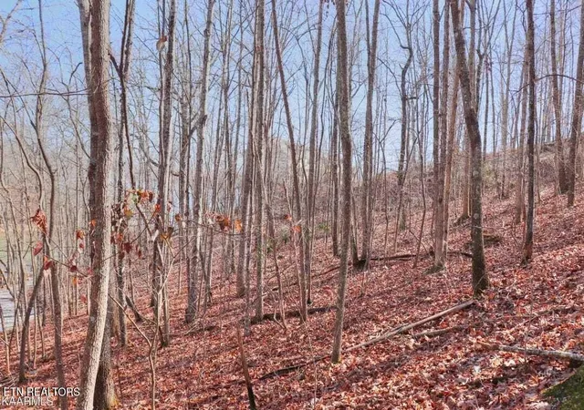 Photo 3 of Land for sale at #12 Emerald Pointe Cir, Rockwood, TN 37854 | MLS# 1337328 | Listing updated on 2026-08-26