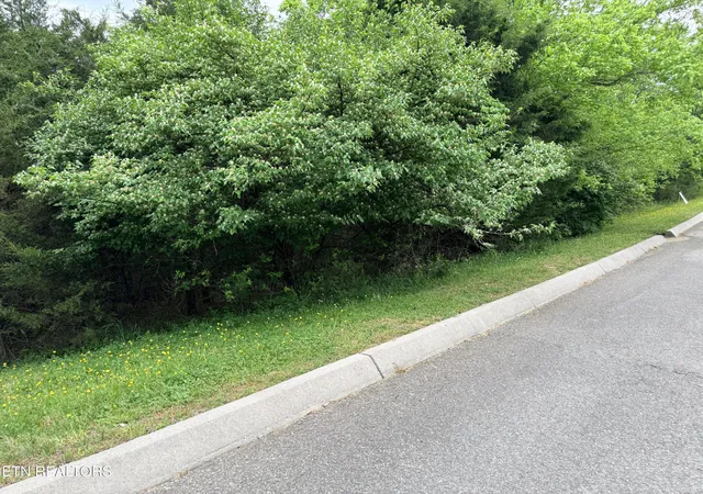 Photo 1 of Land for sale at Wedge Way #206, Tazewell, TN 37879 | MLS# 1337427 | Listing updated on 2026-04-22