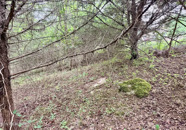 Photo 2 of Land for sale at Wedge Way #206, Tazewell, TN 37879 | MLS# 1337427 | Listing updated on 2026-04-22