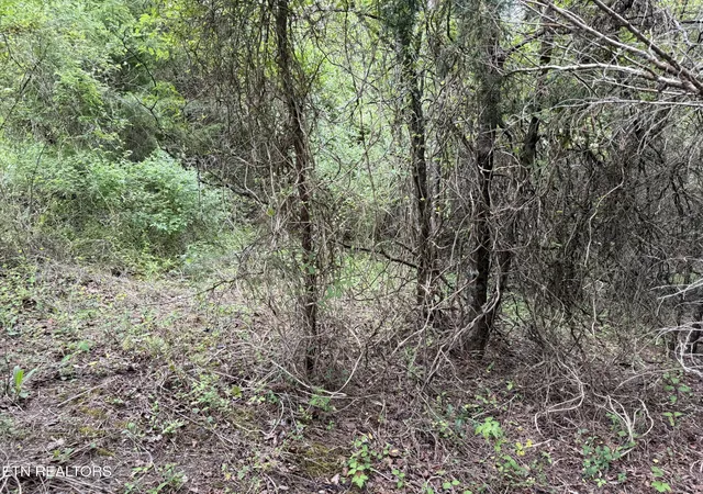 Photo 3 of Land for sale at Wedge Way #206, Tazewell, TN 37879 | MLS# 1337427 | Listing updated on 2026-04-22