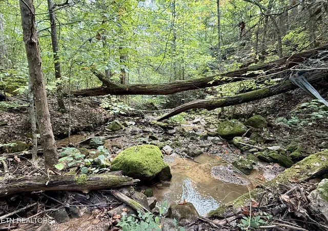 Photo 4 of Land for sale at 154 Summit Trails Dr, Sevierville, TN 37862 | MLS# 1338187 | Listing updated on 2026-06-30