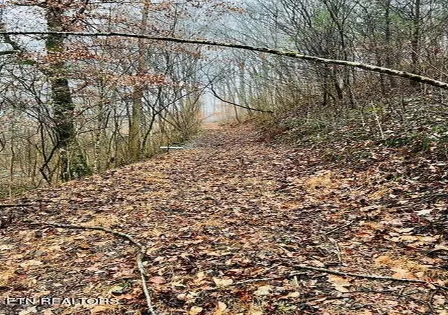 39th image of 324 Vannoy Rd, Tazewell, TN 37879 | MLS# 1340772
