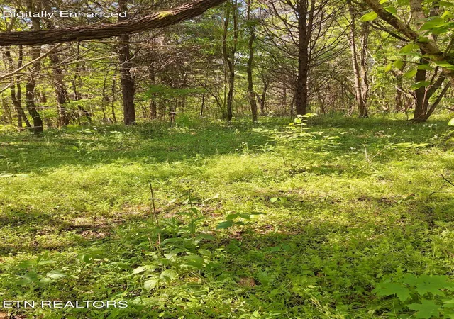 Homes for sale in Tellico Plains, TN | Payne Rd, Tellico Plains, TN 37385 | MLS# 1338537
