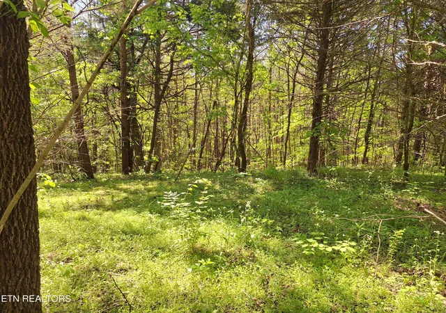 Homes for sale in Tellico Plains, TN | Payne Rd, Tellico Plains, TN 37385 | MLS# 1338537