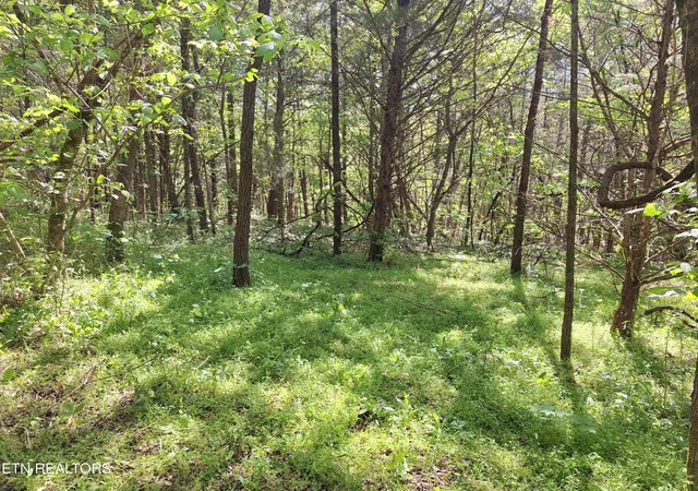 Homes for sale in Tellico Plains, TN | Payne Rd, Tellico Plains, TN 37385 | MLS# 1338537