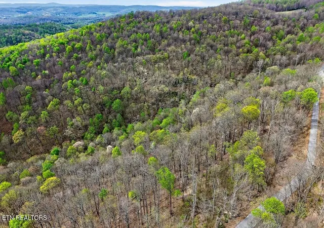 31st image of 0 White Oak Flatt Rd #178 Cho, Sparta, TN 38583 | MLS# 1337549
