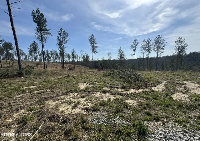 Photo 3 of Land for sale at Lot #1 Burrville Rd, Sunbright, TN 37872 | MLS# 1337619 | Listing updated on 2026-08-12