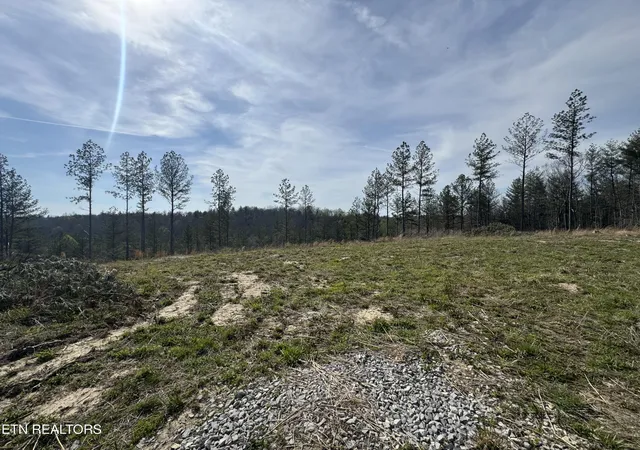 Photo 3 of Land for sale at Lot #1 Burrville Rd, Sunbright, TN 37872 | MLS# 1337619 | Listing updated on 2026-08-12