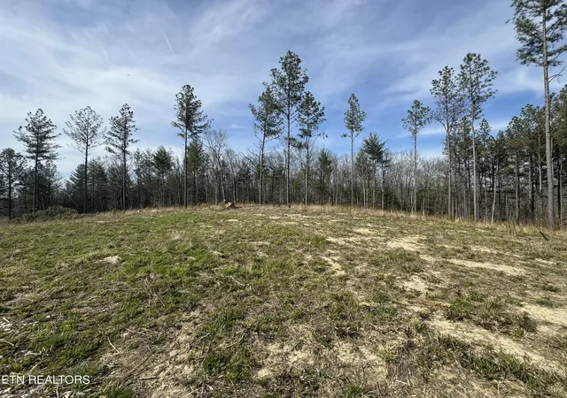 Photo 4 of Land for sale at Lot #1 Burrville Rd, Sunbright, TN 37872 | MLS# 1337619 | Listing updated on 2026-08-12