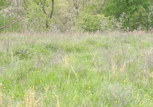 19th image of Tbd Bolton Hollow Rd, Harrogate, TN 37752 | MLS# 1337591