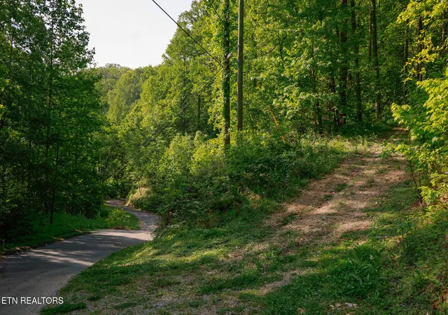 Photo 3 of Land for sale at 1017/1035 Big Buck Tr, Townsend, TN 37882 | MLS# 1337690 | Listing updated on 2026-05-13