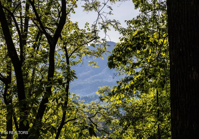 Photo 4 of Land for sale at 1017/1035 Big Buck Tr, Townsend, TN 37882 | MLS# 1337690 | Listing updated on 2026-05-13