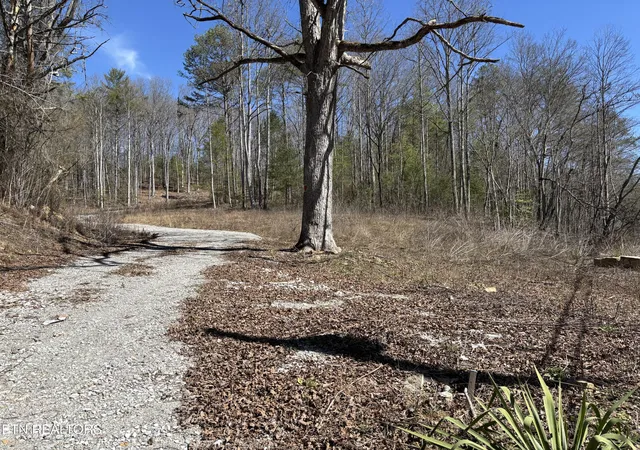 Photo 2 of Land for sale at 16305 E Highway 70, Rockwood, TN 37854 | MLS# 1337605 | Listing updated on 2026-06-30