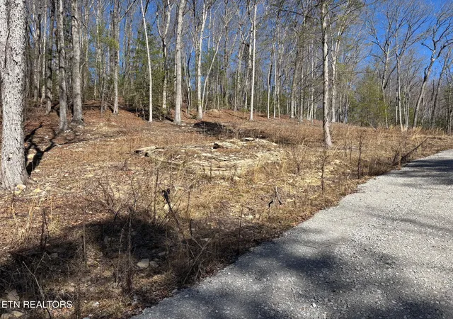 Photo 3 of Land for sale at 16305 E Highway 70, Rockwood, TN 37854 | MLS# 1337605 | Listing updated on 2026-06-30