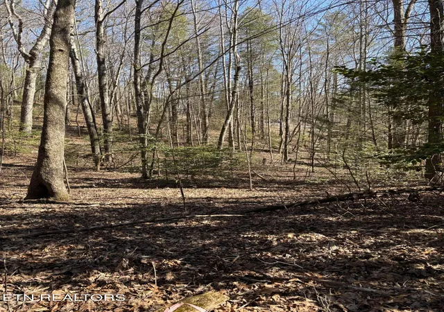 Photo 4 of Land for sale at 16305 E Highway 70, Rockwood, TN 37854 | MLS# 1337605 | Listing updated on 2026-06-30