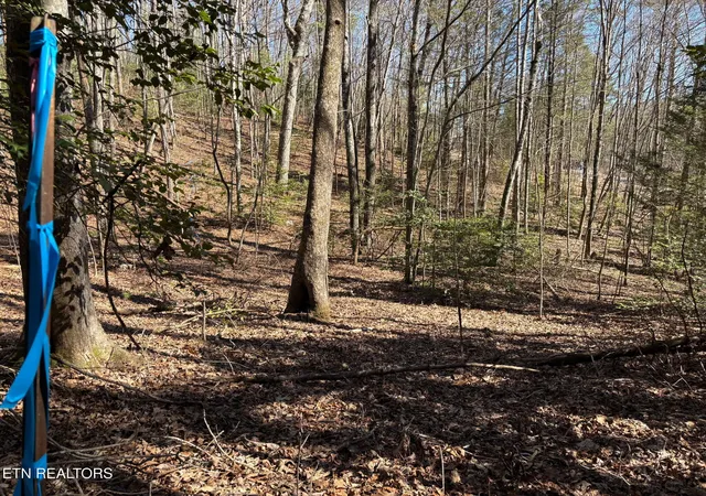 Photo 6 of Land for sale at 16305 E Highway 70, Rockwood, TN 37854 | MLS# 1337605 | Listing updated on 2026-06-30