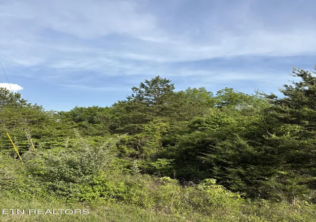 Homes for sale in Speedwell, TN | Lot 60 Saddleridge Dr, Speedwell, TN 37870 | MLS# 1338085