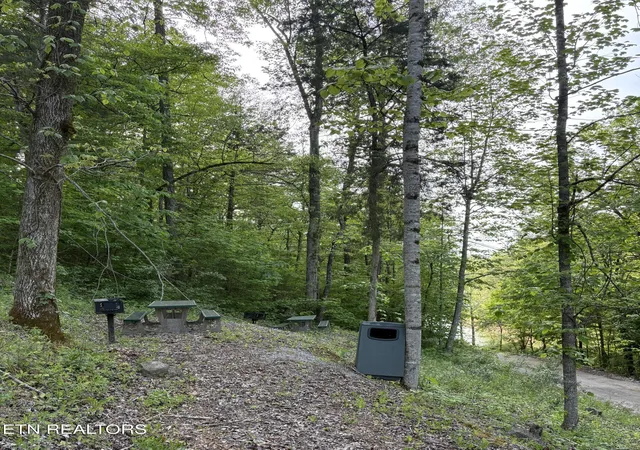 Homes for sale in Speedwell, TN | Lot 29 Saddleridge Dr, Speedwell, TN 37870 | MLS# 1338083
