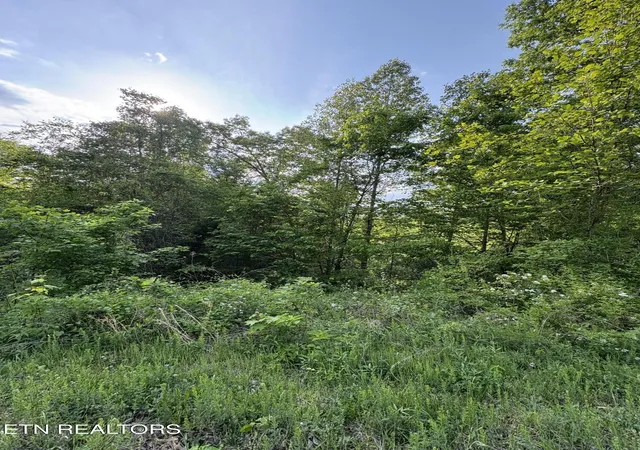 Homes for sale in Speedwell, TN | Lot 29 Saddleridge Dr, Speedwell, TN 37870 | MLS# 1338083