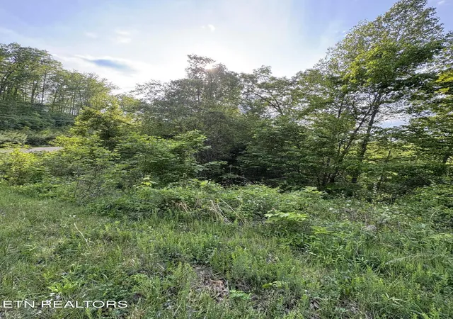 Homes for sale in Speedwell, TN | Lot 29 Saddleridge Dr, Speedwell, TN 37870 | MLS# 1338083