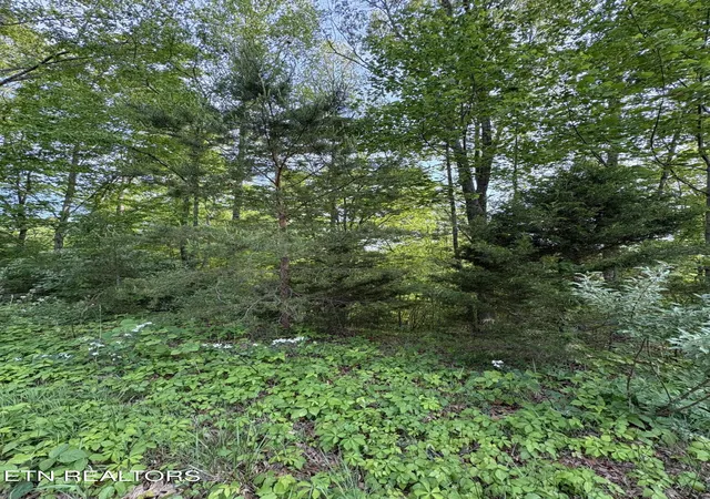 Homes for sale in Speedwell, TN | Lot 169 Saddleridge Dr, Speedwell, TN 37870 | MLS# 1338087