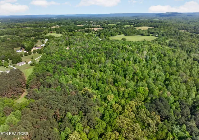 Photo 4 of Land for sale at 24 Ac Timber Ln, Mc Minnville, TN 37110 | MLS# 1337792 | Listing updated on 2026-06-09