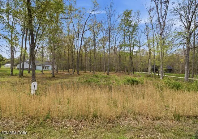 Photo 2 of Land for sale at Peaceful Point, Dandridge, TN 37725 | MLS# 1337682 | Listing updated on 2026-04-21