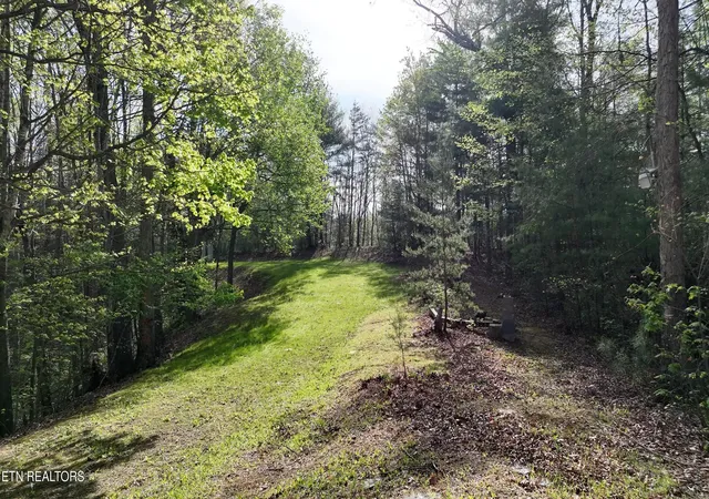 5th image of 418 Turkey Creek Rd, Tellico Plains, TN 37385 | MLS# 1340690