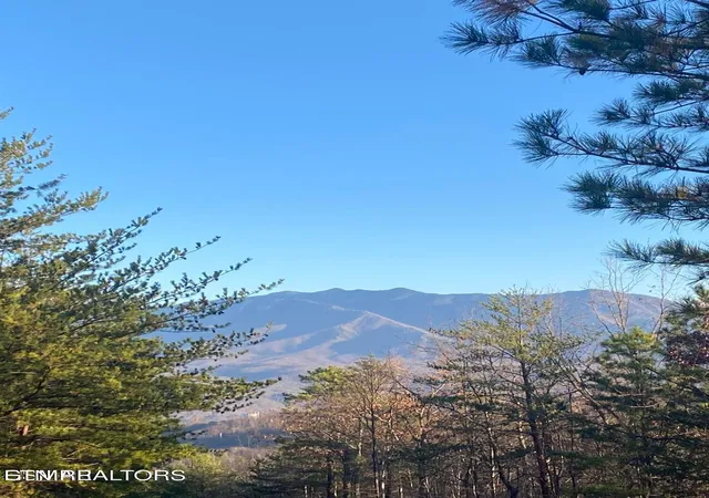 3rd image of Lightning Bug Wy #D 7, Gatlinburg, TN 37738 | MLS# 1337704