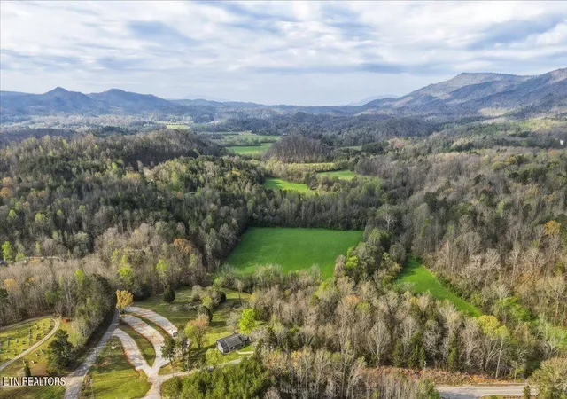 Homes for sale in Tellico Plains, TN | 1805 Mecca Pike, Tellico Plains, TN 37385 | MLS# 1338365