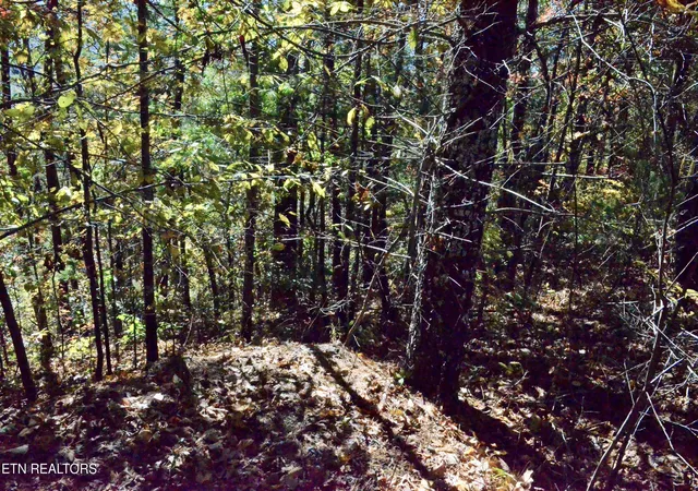 3rd image of Lot 28R Mountain Retreat Road #Lot 28R, Townsend, TN 37882 | MLS# 1337777