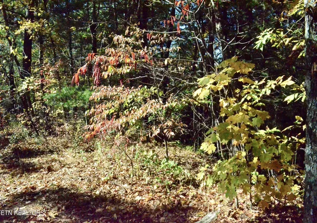 4th image of Lot 28R Mountain Retreat Road #Lot 28R, Townsend, TN 37882 | MLS# 1337777