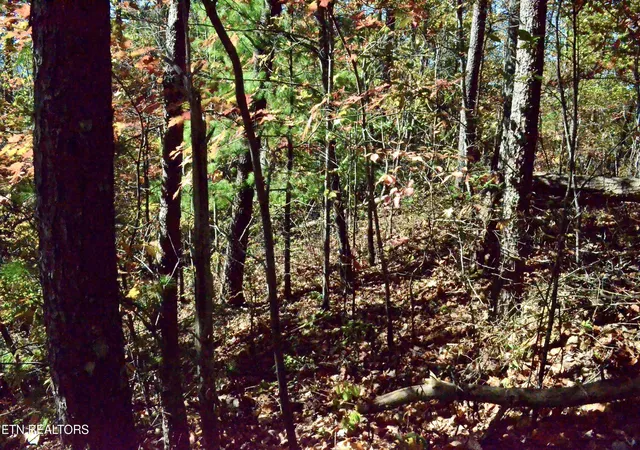 5th image of Lot 28R Mountain Retreat Road #Lot 28R, Townsend, TN 37882 | MLS# 1337777