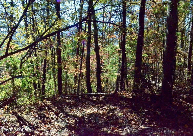 6th image of Lot 28r Mountain Retreat Road #Lot 28R, Townsend, TN 37882 | MLS# 1337777
