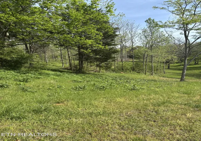 Homes for sale in Rockwood, TN | 57 Docks Of The Bay Dr, Rockwood, TN 37854 | MLS# 1337862