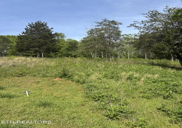 Homes for sale in Rockwood, TN | 57 Docks Of The Bay Dr, Rockwood, TN 37854 | MLS# 1337862