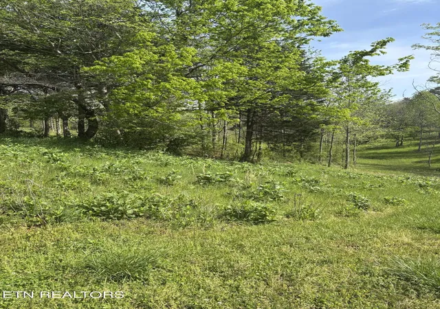 Homes for sale in Rockwood, TN | 57 Docks Of The Bay Dr, Rockwood, TN 37854 | MLS# 1337862