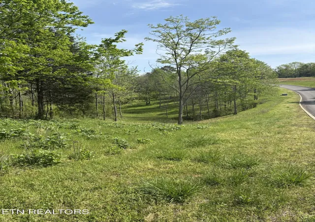 Homes for sale in Rockwood, TN | 57 Docks Of The Bay Dr, Rockwood, TN 37854 | MLS# 1337862