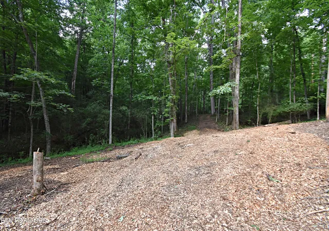 Photo 3 of Land for sale at 0 Early Rd #2, Knoxville, TN 37922 | MLS# 1337824 | Listing updated on 2026-04-26