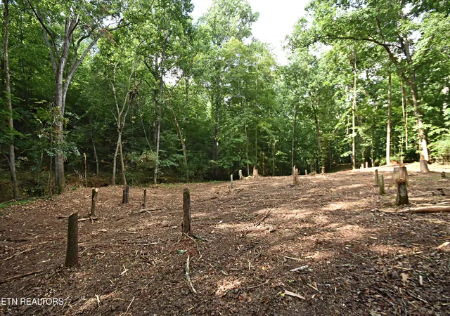Photo 4 of Land for sale at 0 Early Rd #2, Knoxville, TN 37922 | MLS# 1337824 | Listing updated on 2026-04-26